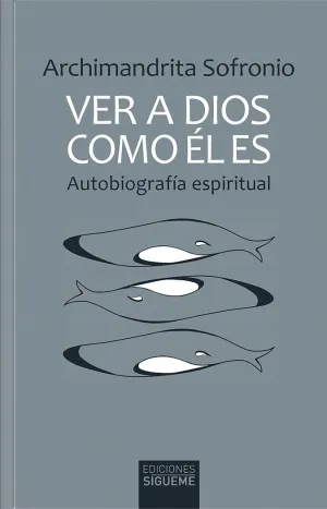 VER A DIOS COMO ÉL ES